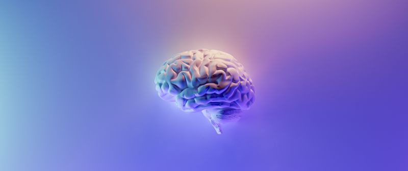 Brain, 3D background, Gradient background