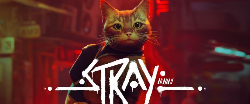 Stray, PC Games, PlayStation 4, PlayStation 5, 2022 Games, Stray cat