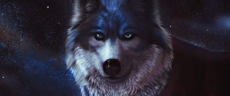 Arctic wolf, CGI, Predator, Digital Art