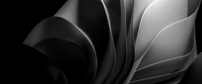 Windows 11, Monochrome, Dark Mode, Abstract background, Dark background, Black and White