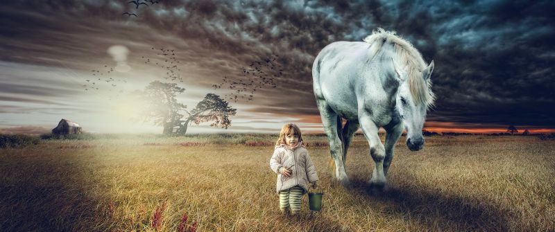 Cute Girl, Countryside, White horse, Sunset, Farm Land, 5K
