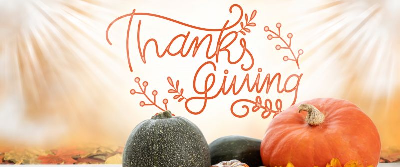 Thanksgiving Day, Happy Thanksgiving, Pumpkins, Wooden Floor, Sunflowers