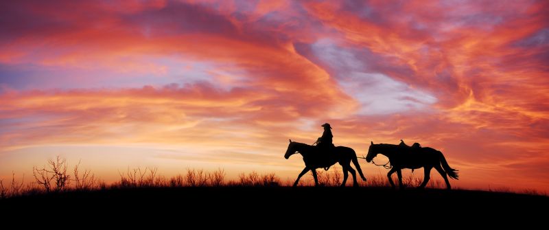 Cowboy, Horses, Silhouette, Dawn, Sunset, Western