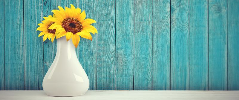 Sunflowers, Flower vase, Wooden background, Teal