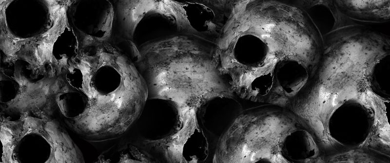 Skulls, Scary, Monochrome, 5K, Black and White