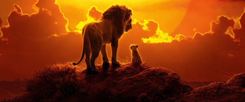 The Lion King, Simba, Mufasa, Lion cub, Animation