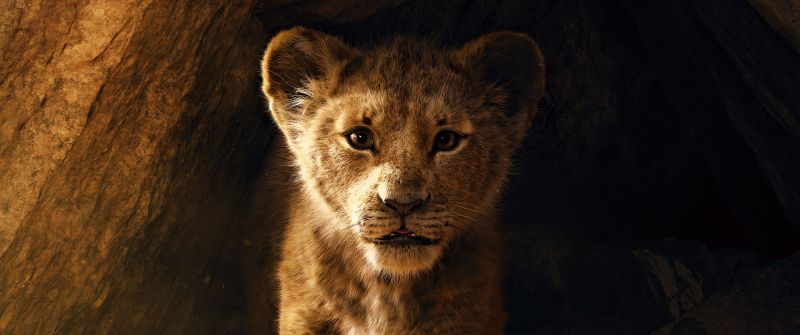 Simba, The Lion King, Lion cub, 5K
