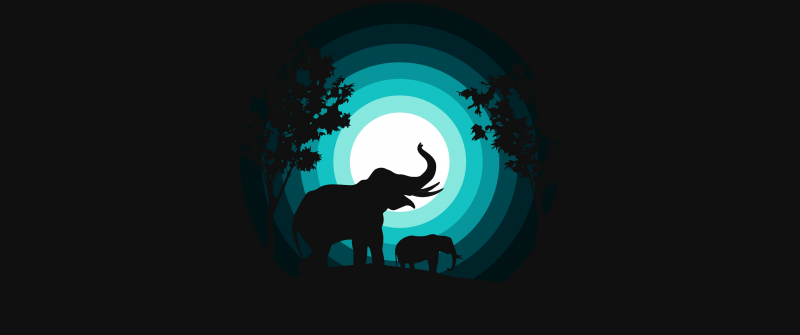 Elephant, Elephant cub, Silhouette, Night, Teal, Black background, Simple