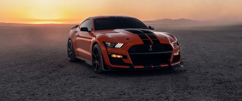 Ford Mustang Shelby GT500, Sports cars, 5K