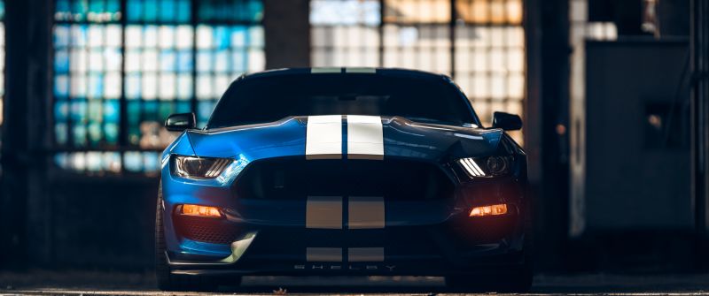 Ford Mustang Shelby GT350, American muscle car, Muscle sports cars, 5K