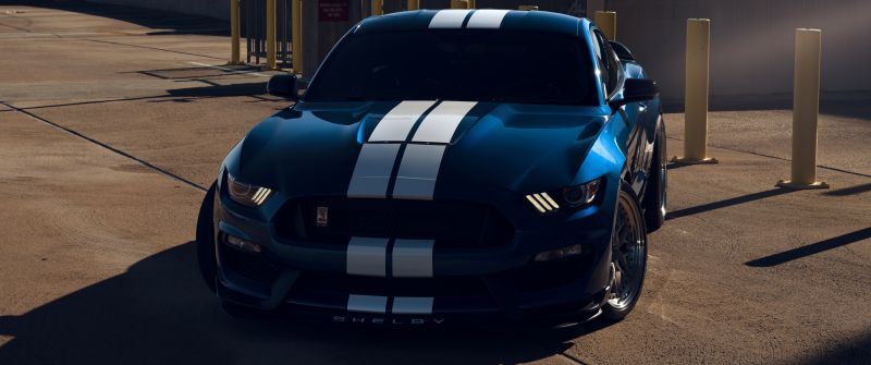 Ford Mustang Shelby GT350, Muscle cars, 5K