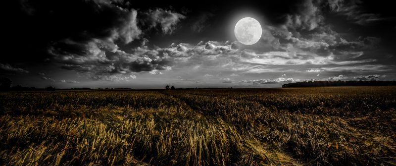 Full moon, Grass field, Landscape, Night, Dusk, 5K