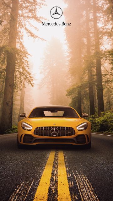 Mercedes-Benz AMG GT R, Sports coupe, Forest, Road, 5K