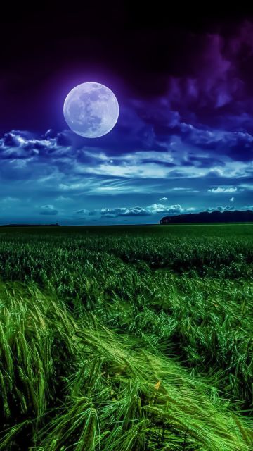Moon, Landscape, Night, Field, Cloudy