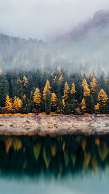 Forest, Reflection, Woods, Autumn, Lake, Foggy, Mist, Fall, 5K