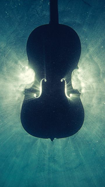 Violin, Underwater, Sea, Silhouette