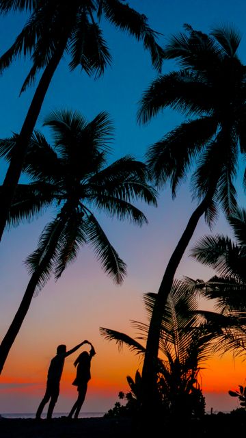 Couple, Tropical beach, Romantic, Sunset, Twilight, Palm trees, Maldives