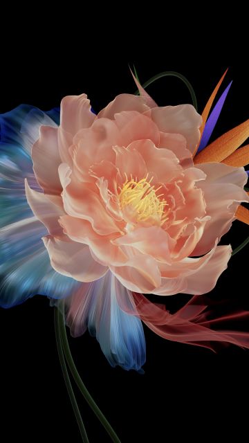 Abstract flower, Multicolor, Black background, AMOLED, 5K