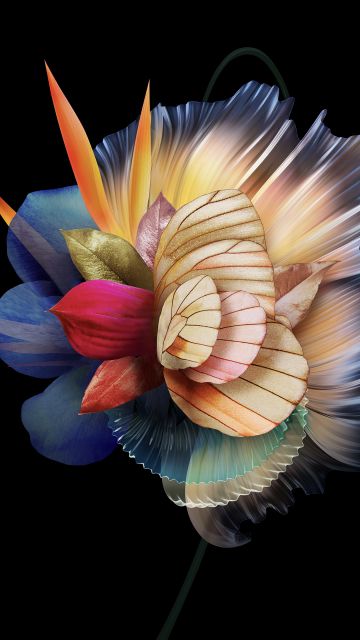 Abstract flower, AMOLED, 5K, Multicolor, Black background, Honor, Stock