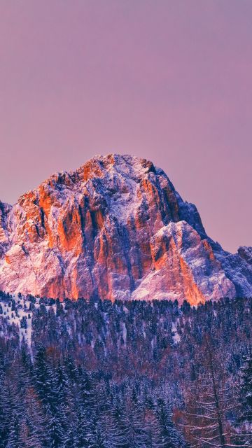 Mountain, Peak, Sunrise, Forest, Winter, Cold, 5K, 8K