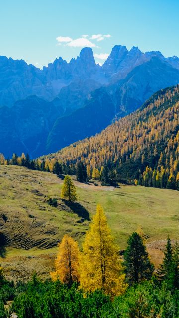 Sunny day, Landscape, Forest, Mountains, Autumn, 5K