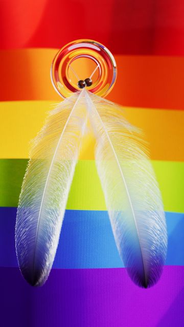 Ribbons, Rainbow, LGBTQ, Pride, Feathers, Colorful background