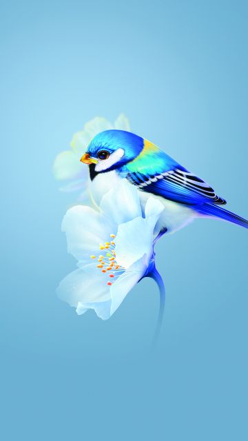 Cute bird, Blue flower, Blue background, Huawei Mate X3, Stock