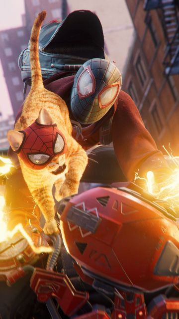 Spider-Cat, Spider-Man: Miles Morales, PC Games, Gameplay, Spiderman