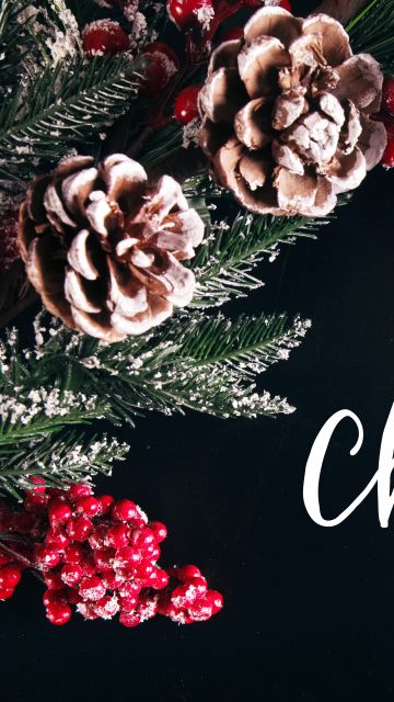 Merry Christmas, Decoration, Xmas background, Fruits, Frozen, 5K, Preppy Christmas, Navidad, Noel