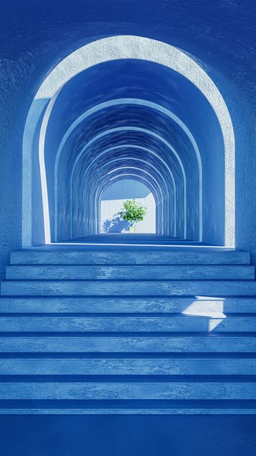 Aesthetic interior, Plant, Blue, 5K