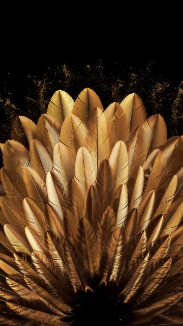 Golden, Peacock feathers, Vibrant, Golden yellow, Oppo Find N, Stock, Elegant, Pattern, Black background