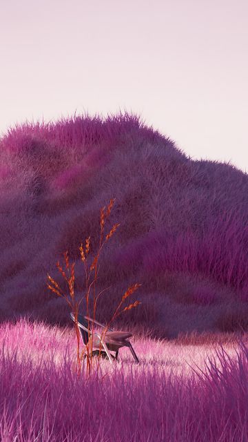 Lavender fields, Purple aesthetic, Digital composition, 5K