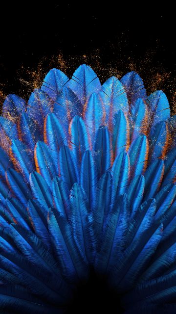 Peacock feathers, Blue aesthetic, Vibrant, Blue abstract, 5K, Oppo Find N, Stock, Elegant, Pattern