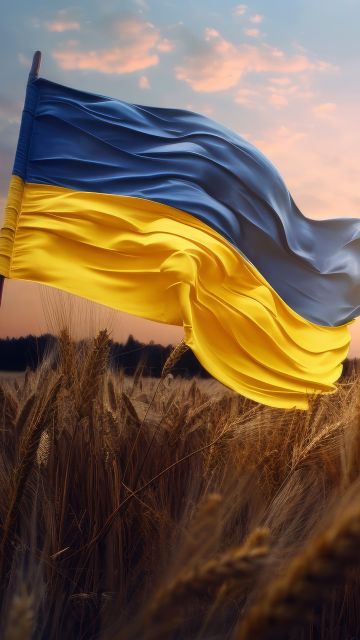 Flag of Ukraine, 5K, National flag, Landscape, Wheat field