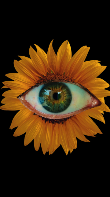 Sunflower, Weirdcore, Eye, Black background, 5K, AMOLED