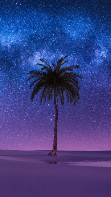 Milky Way, Nightscape, Palm tree, Surreal, Constellation, Stars in sky, Night time, Night sky, Boat, Woman