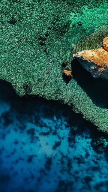 Coastline, Coral reef, Drone photo, Aerial view, NEOM, Outdoor, 5K, Blue Water