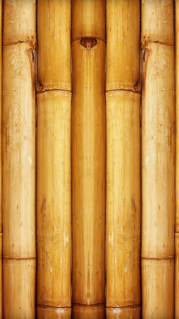 Bamboo, Wall, Pattern, 5K