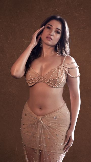 Tamanna Bhatia, 5K, 8K, Brown background, 2024, Indian actress