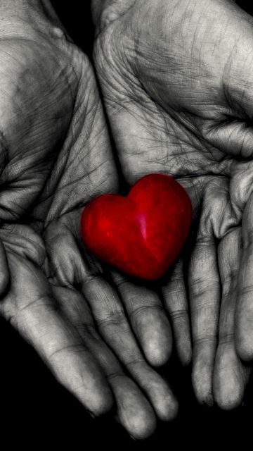 Red heart, Holding hands, 5K, 8K, Love heart, Black background, AMOLED