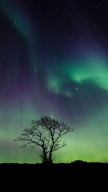 Aurora Borealis, 5K, Northern Lights, Night
