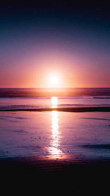 Sunset, Seascape, Reflection, Beach, Seashore, Dawn, Kalaloch