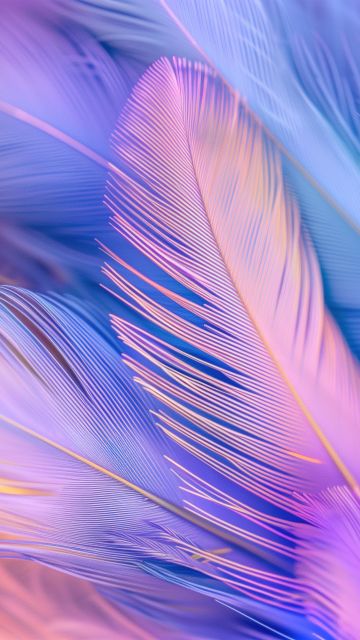 Feathers, Aesthetic, 5K, Colorful background