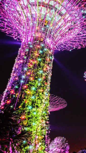 Supertree Grove, Lighting, Purple, Colorful lights, Garden, Night, Singapore, 5K