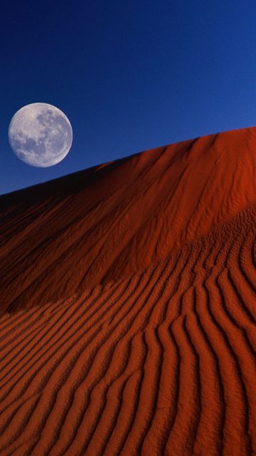 Full moon, Dunes, Windows XP, Desert