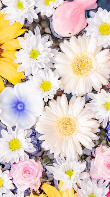 Colorful, Flower bouquet, Sunflower, Daisy flowers