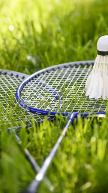 Badminton, Rackets, Shuttlecocks, Green Grass