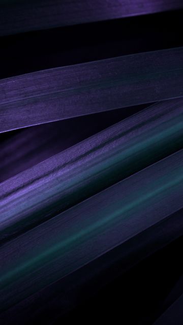 Purple leaves, Macro, Closeup Photography, Dark aesthetic, 5K