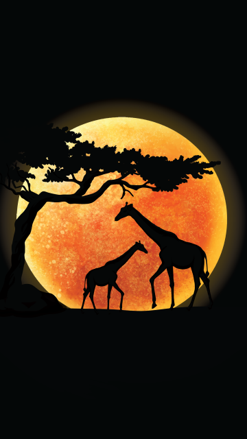 Giraffe, Silhouette, Sunset, AMOLED, Black background, Minimalist, 5K