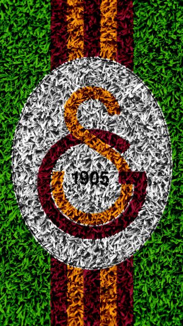 Galatasaray, Green background, Football club, UEFA Champions League